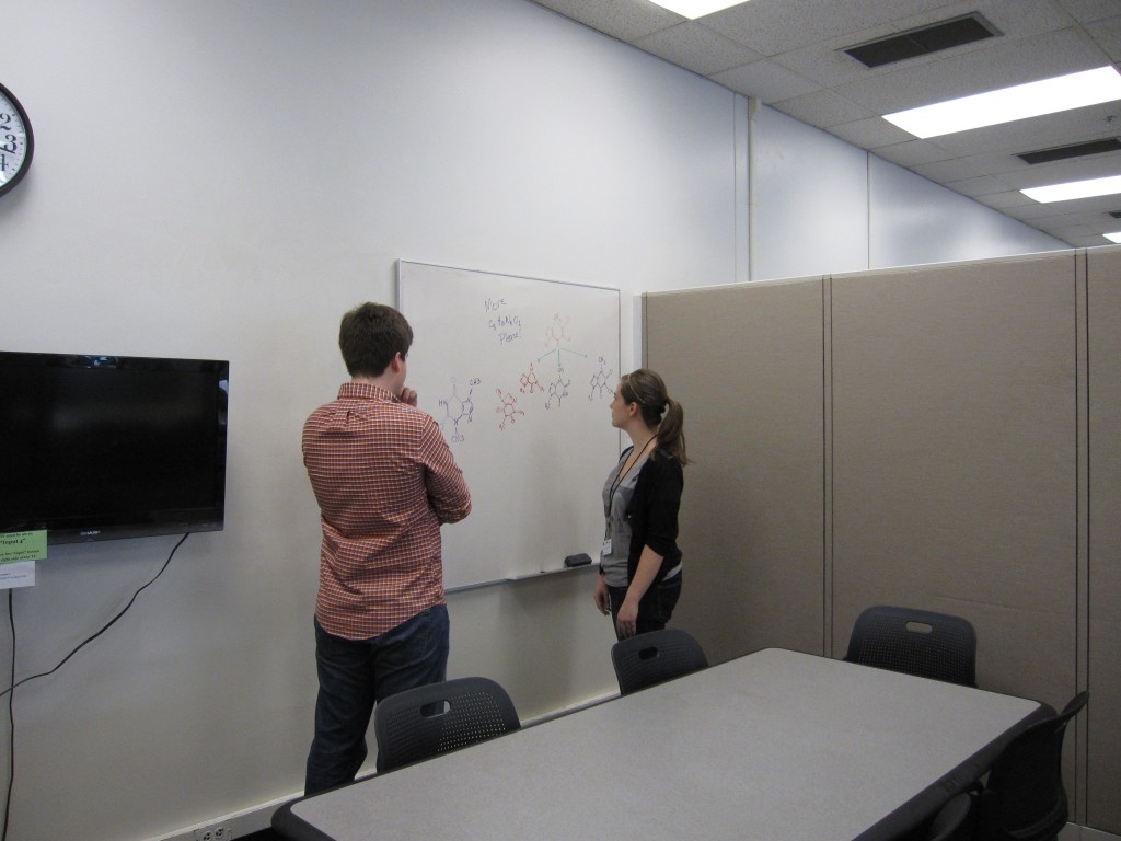 Students working in a group room. Photo courtesy of the Undergraduate Library.