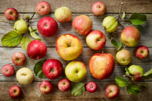 Photo of Apples