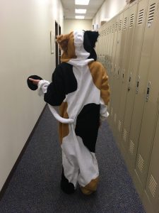 Photo of person dressed in a cat costume in a hallway