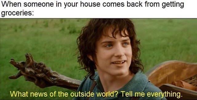 When someone in your house comes back from getting groceries: [image from Lord of the Rings movie with Frodo: "What news of the ouside world? Tell me everything."]