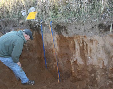 man examine exposed soil face
