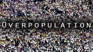 Overpopulation-Image