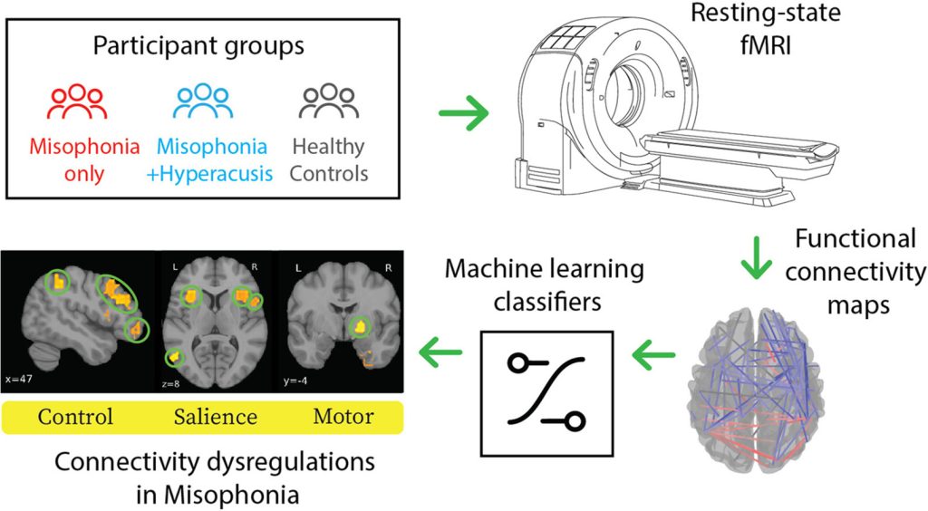 A graphical abstract mapping an fMRI study cohort into three participant groups: misophonia only, misophonia with hyperacusis, and healthy controls. Arrows trace the data pipeline through a resting-state fMRI scanner, functional connectivity maps, and machine learning classifiers to isolate dysregulations in connectivity across control, salience, and motor networks.
