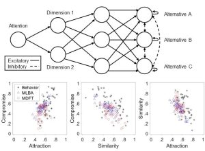 Cognitive Decision Making Lab » Research