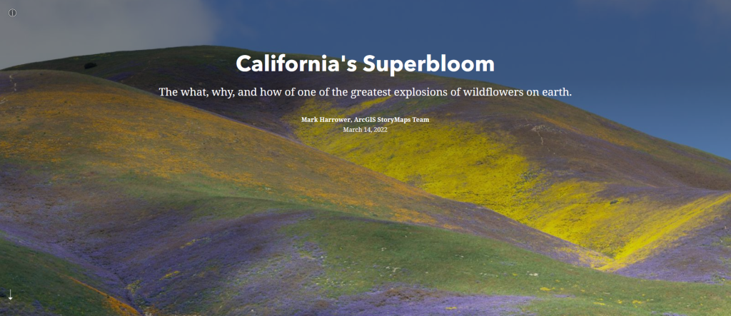 Header of the California's Superbloom StoryMap