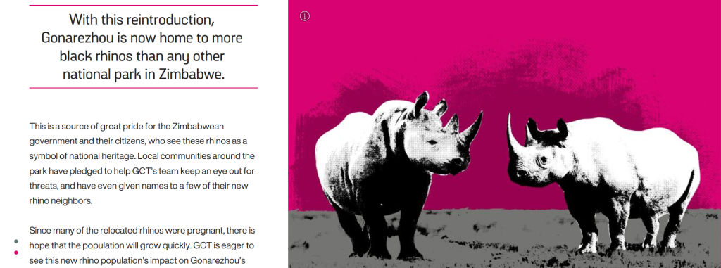 Screenshot of a storymap with text about and an image of rhinos.