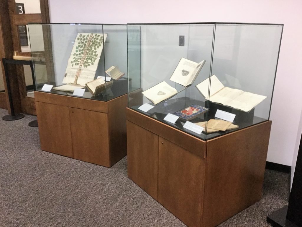 Two boxes in a pop-up exhibit highlight unusual bindings from the Cavagna collection.