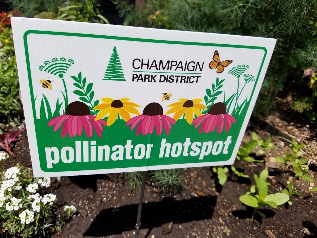 ChampaignUrbana Pollinator Count