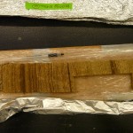 A lake sediment core from the Hu lab.
