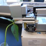 A lab instrument measuring a plant's absorptive spectrum.