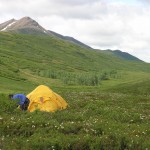 Hu lab field site in Alaska