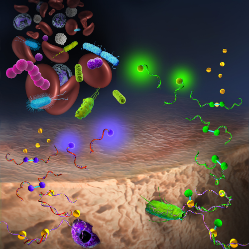Rapid Infectious Disease Detection and Sepsis Diagnostics image