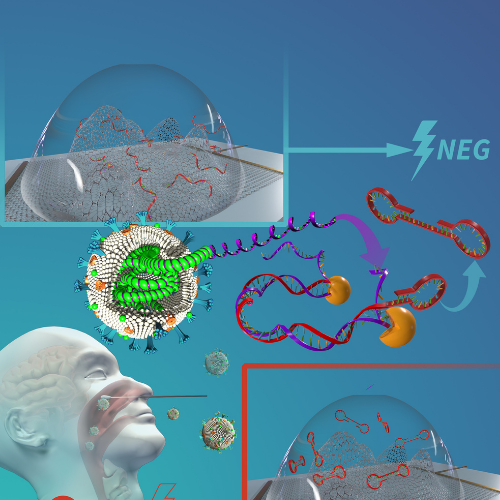 Rapid Infectious Disease Detection and Sepsis Diagnostics image