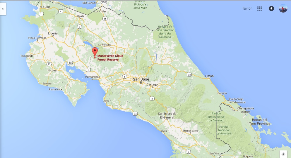 Epiphytes in Costa Rica » Monteverde Cloud Forest Preserve–Northern