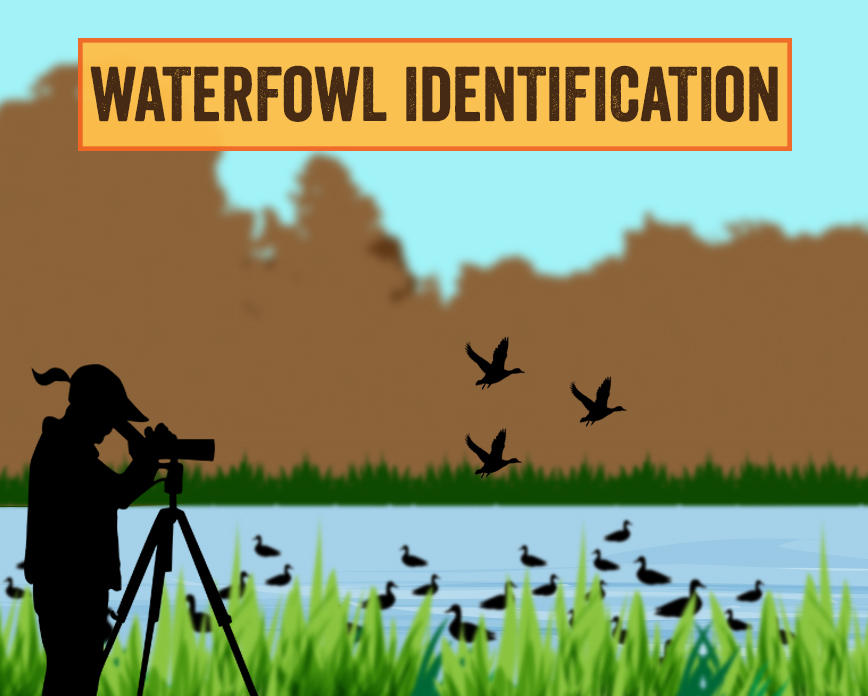 Illinois Learn to Hunt