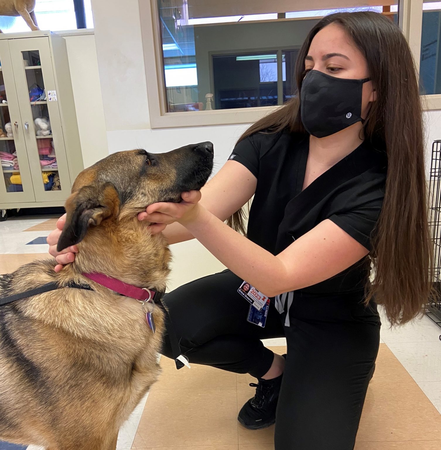 Student American Veterinary Medical Association Student American