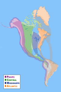 Map of Western Hemisphere bird migratory paths