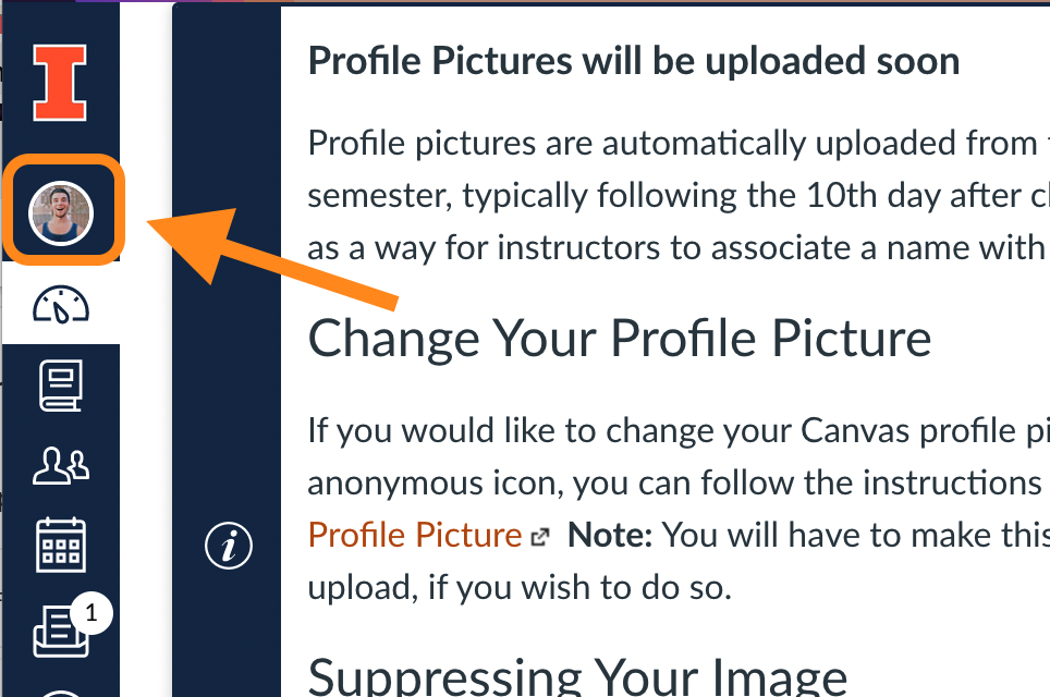 Screenshot with highlights on profile icon in Canvas.
