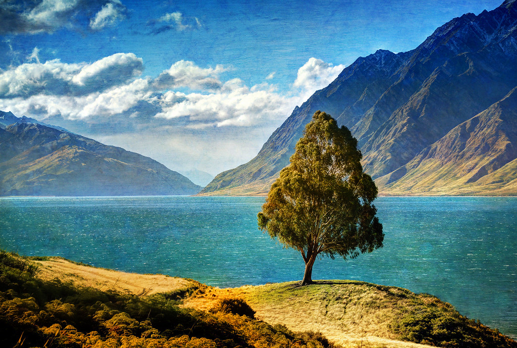 A coast in New Zealand. Photo credit: Trey Ratcliff, Flickr.