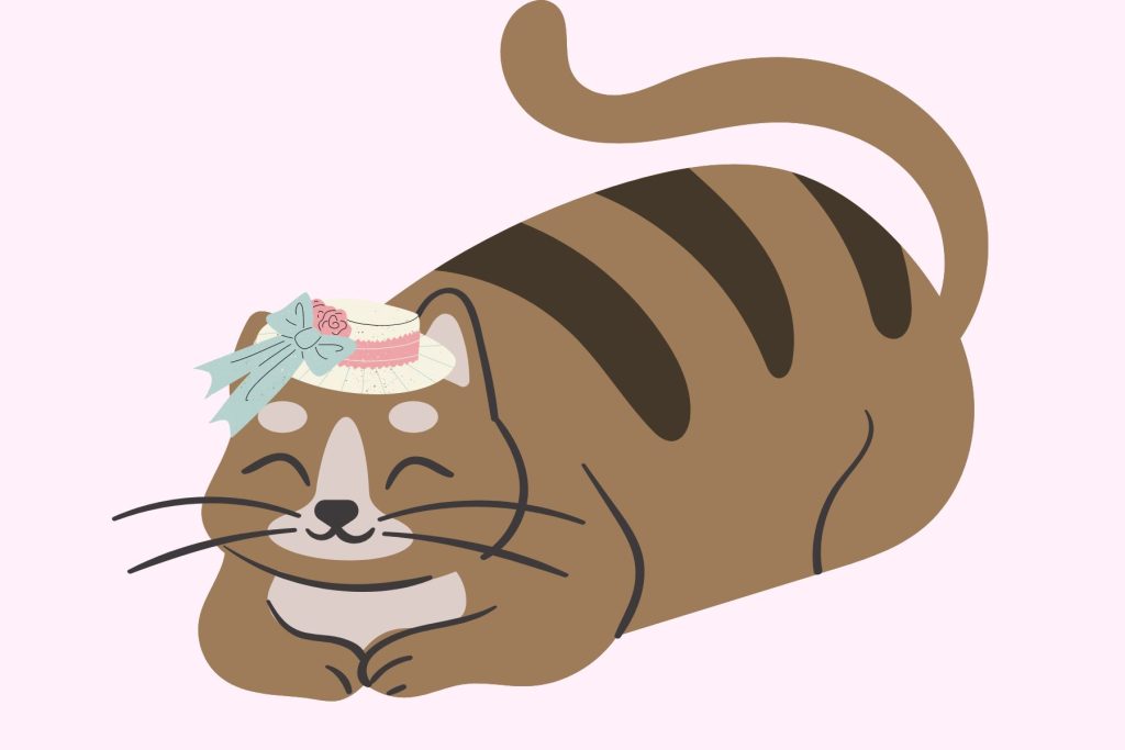 A cat wearing a hat.