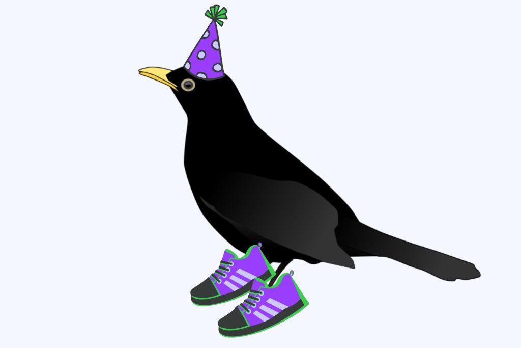 A raven wearing a party hat and sneakers.