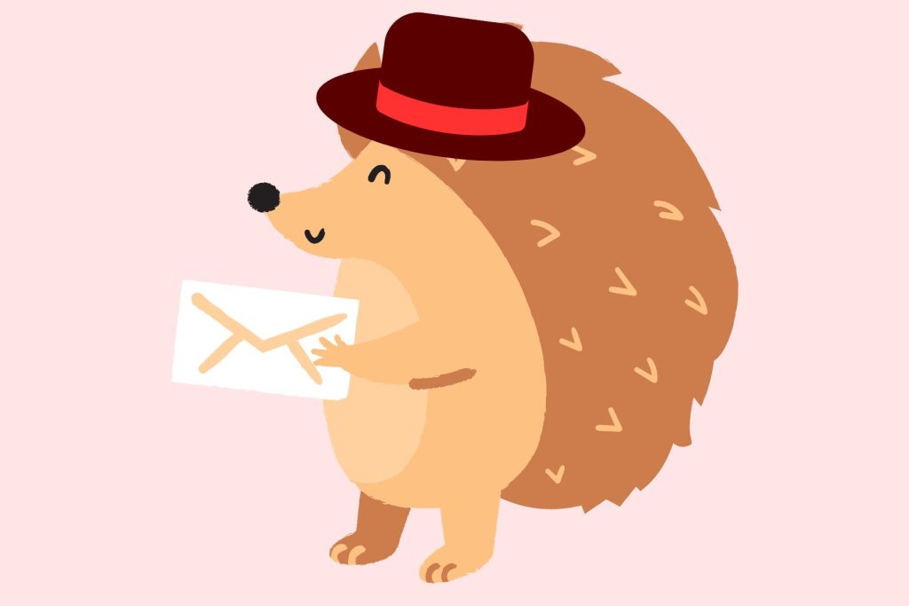 A hedgehog wearing a hat.