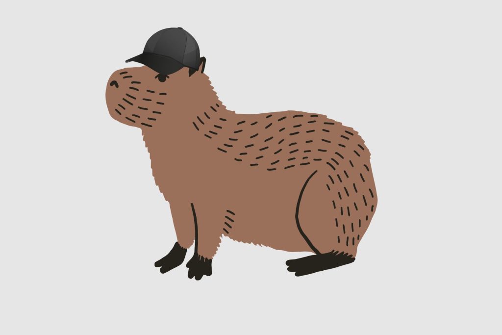 A CAPybara (a capybara wearing a black baseball cap).