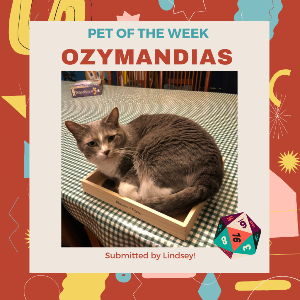 Pet of the Week, Ozymandias, submitted by Lindsey! Featuring Ozy curled up in a box