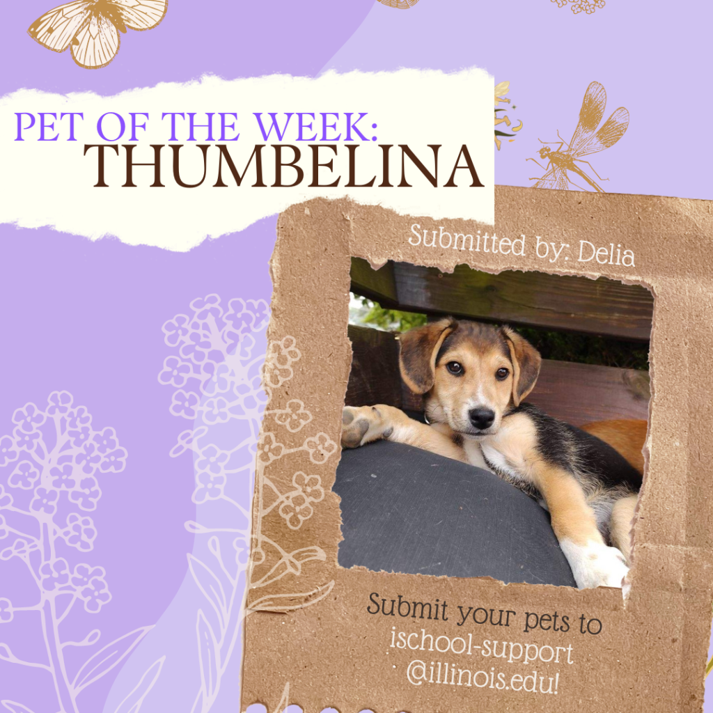 "Pet of the Week: Thumbelina. Submitted by: Delia. Submit your pets to ischool @illinois.edu! support"
An adorable beagle is flopped down on a hayride.
