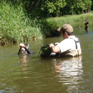 2 men stand in the Kishwaukee River.