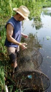 Man stands in wetlands.