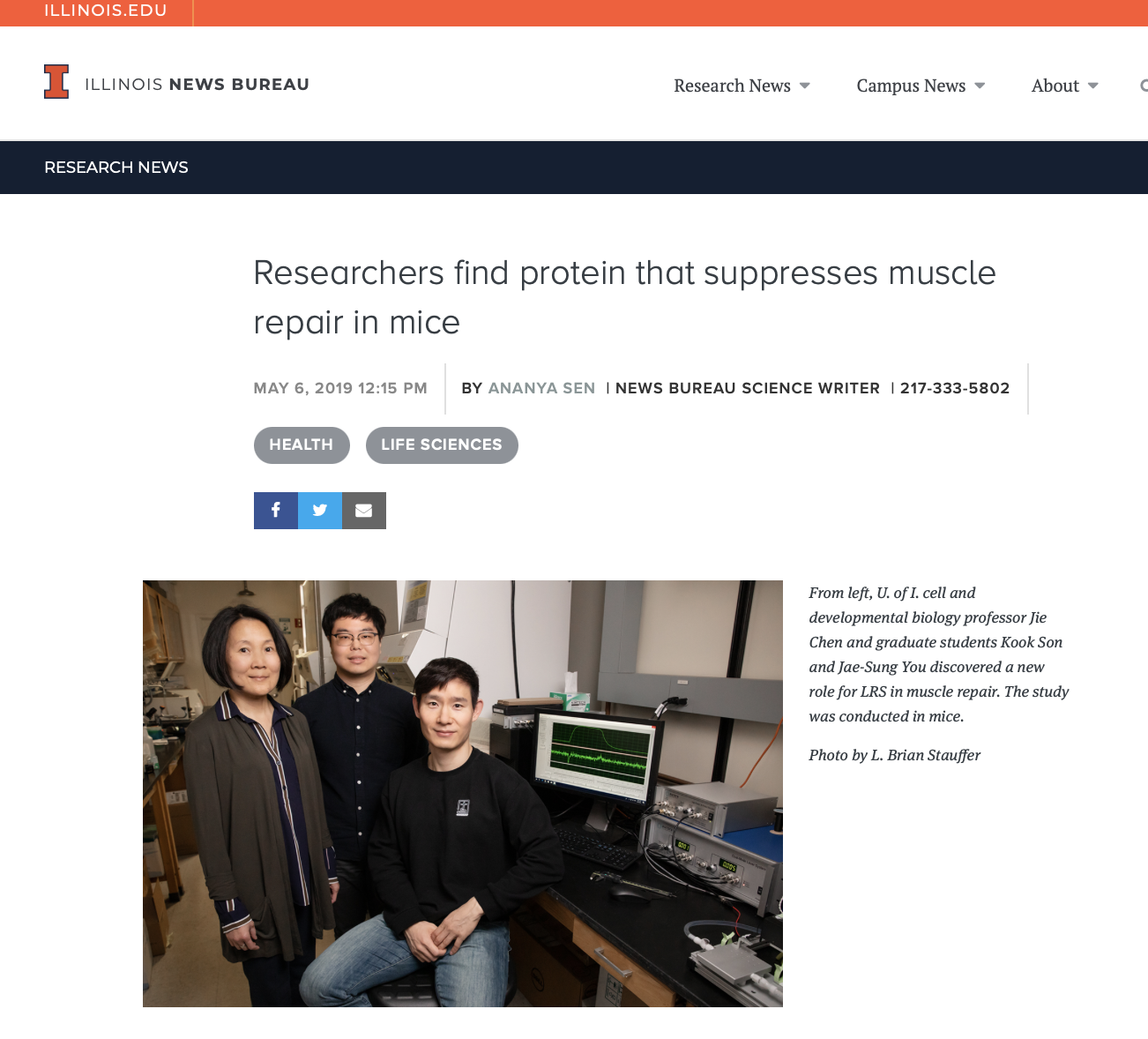 Researchers find protein that suppresses muscle repair in mice