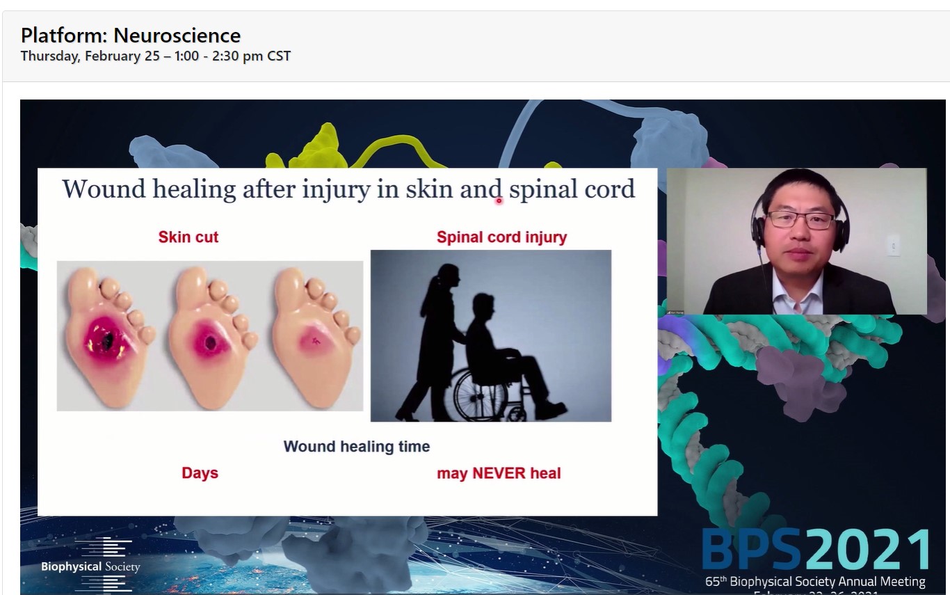 News The Zhang Lab University of Illinois at UrbanaChampaign