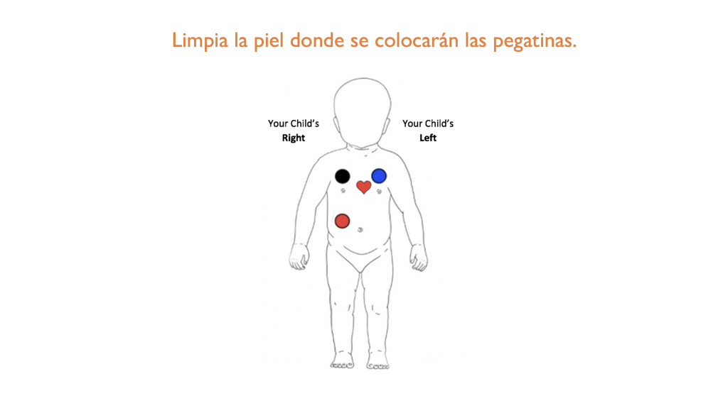 This image has an empty alt attribute; its file name is LBSetupSpanish1-1024x575.png