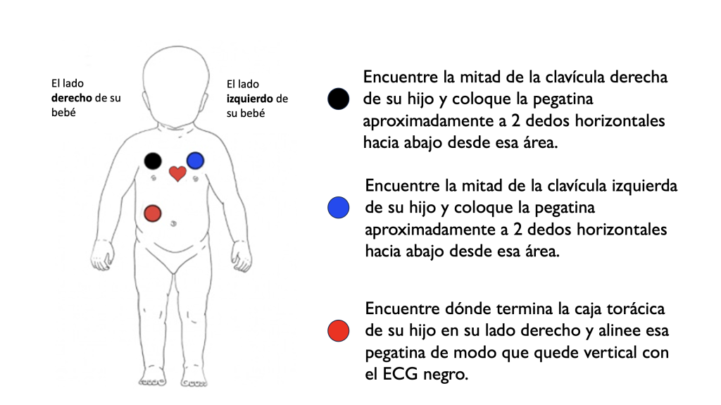 This image has an empty alt attribute; its file name is LBSetupSpanish3-1024x575.png