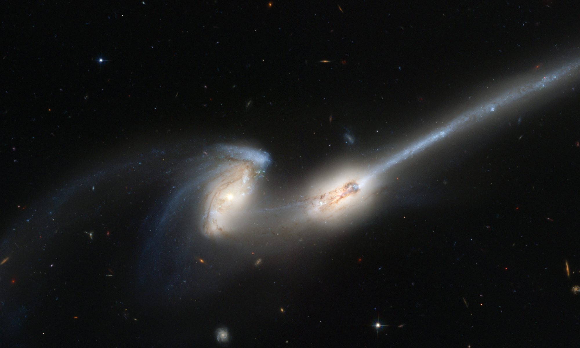 Galaxy and Black Hole Astrophysics Group