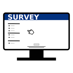 Image representing an online survey