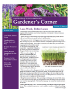 Gardener’s Corner