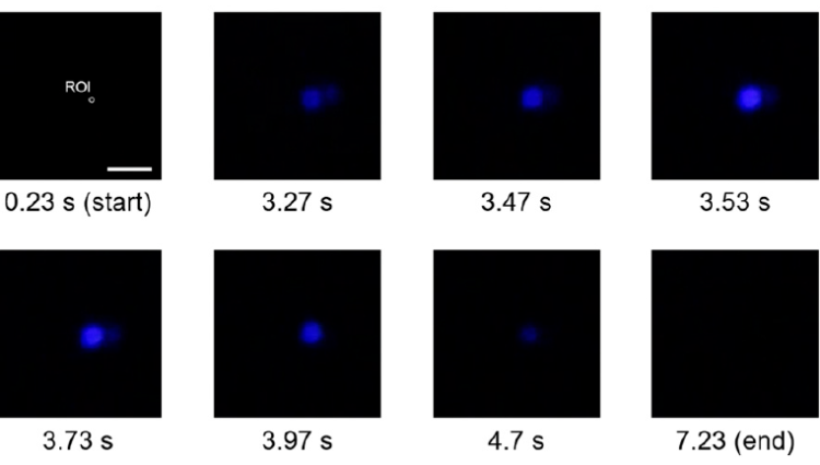 PNAS_light_fig