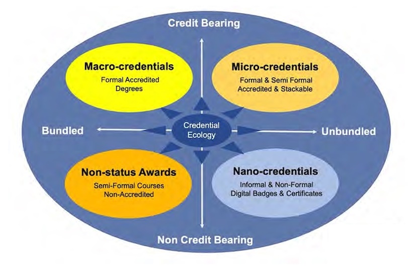 Innovations in Online Graduate Education