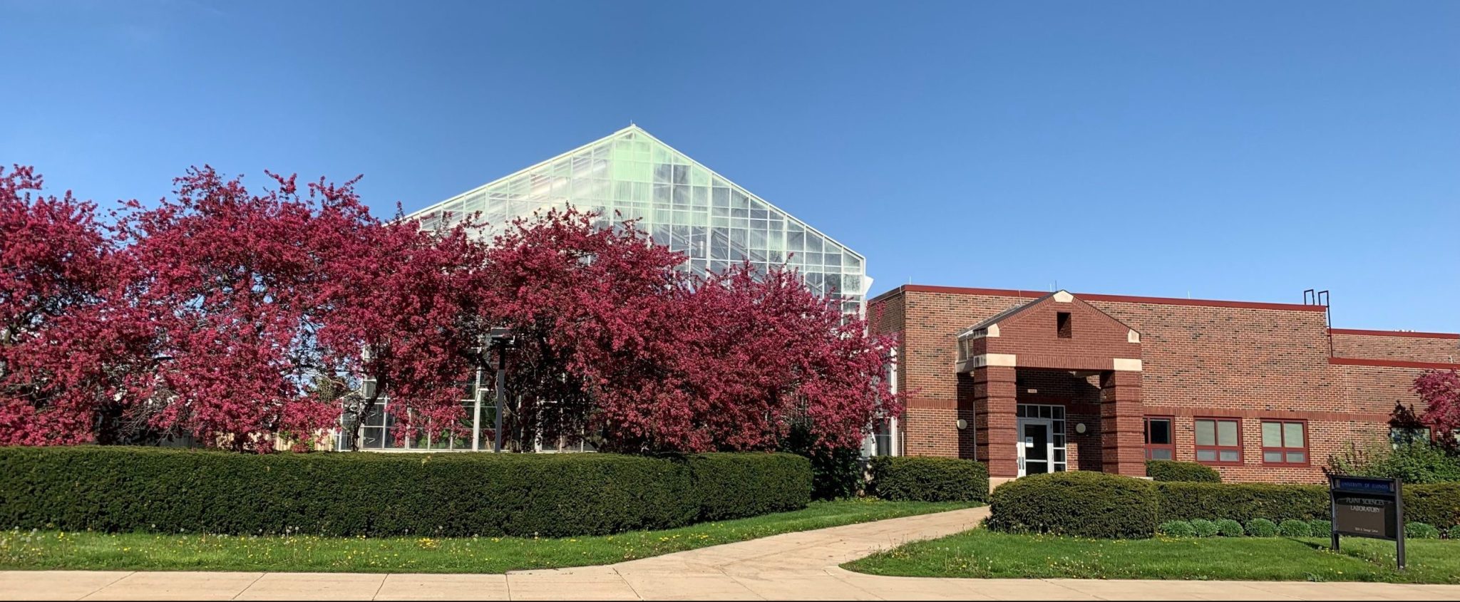 Plant Biology Greenhouse A publish.illinois.edu site