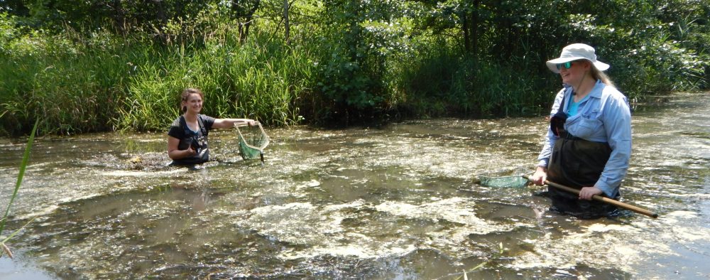 Freshwater Mollusk Ecology and Conservation Lab