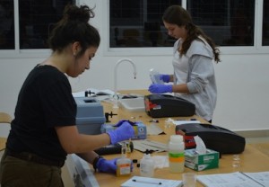 Two female researchers in a laboratory testing samples