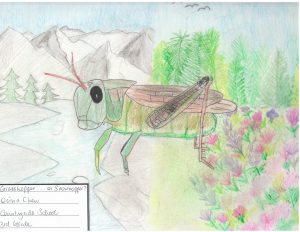 "Grasshopper... or Snowhopper" by Olivia Chew