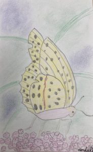"The peaceful butterfly" by Kendall Baumann