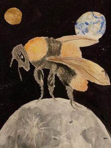 "Bee on the Moon" by Emily Christensen