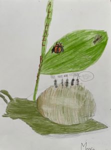 "The March of Bugs" by Meera Dande