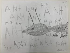 "ANT" by Landen Douglas