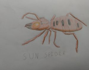 "The Sun Spider" by Artiom Kuzminov