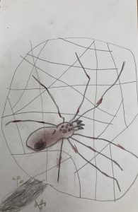 "The 1# spider" by James Linnenburder
